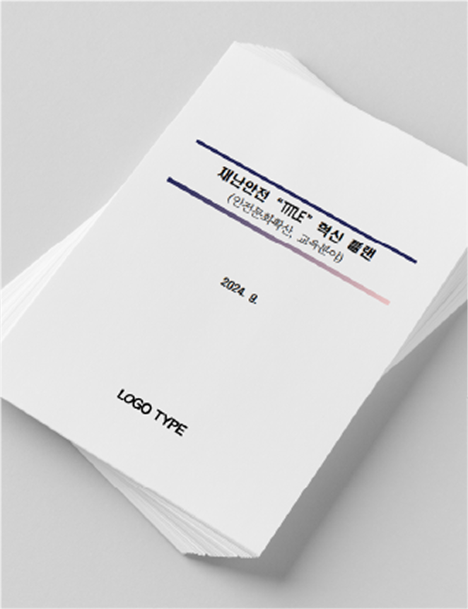 안전종합계획(안)